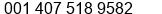 Nomor telpon Tn. Mike Morrison di Kissimmee