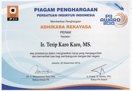 PII Award 2010