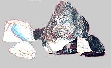 Ferro Manganese, Silico Manganese, Ferro Chrome, Manganesedi oxide, Mangnous oxide