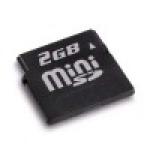 Memory Card Mini SD 1 Gb
