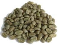 Green Luwak Coffee