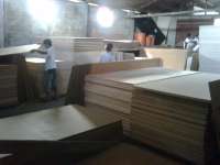 Plywood Palem