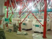 flour processing line,  flour grinding machinery,  corn flour system