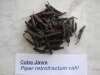 cabe jamu jawa/ long pepper ( piper retrofractum vahl)