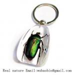 real insect amber keychain