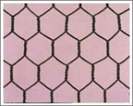 Hexagonal wire mesh