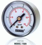 Steins Preassure-Glycerine Gauge and Thermometer
