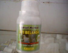 HERBAL JATI BELANDA