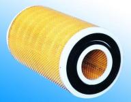 Dry Paper Air filter (25, 000km)