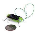Solar Powered Locust Bot Robot