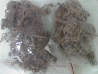 Sun-dried Eucheuma Cottonii seaweed
