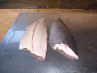 Tuna Fishmow
