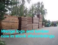 EXPLICIT MAJOR AFRICAN HARD AND SOFT WOOD,  LUMBER,  TIMBER,  LOGS AND SAW WOOD READY