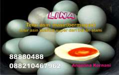 Jual Telur Asin| Telur Bebek Angon| Telur Bebek Udang