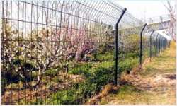 selling wire mesh fence