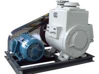 2X Series Rotary Vane Vacuum Pump