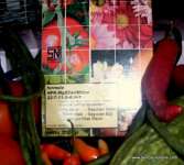 Pupuk ( 60 Pack) Gramafix&Acirc;&reg; Sayuran Biji [ Peas &amp; Beans Fertilizer]