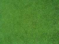 Artificial Grass ( Leisure Grass)