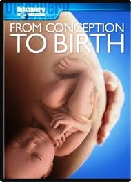 FROM CONCEPTION TO BIRTH