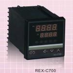 RKC - Temperature Control REX-C700