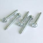 HEX.washer head self tapping screw