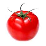 Tomato extract,  lycopene 5% ,  10%