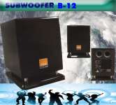 Professional Subwoofer ( BS-12 SW)