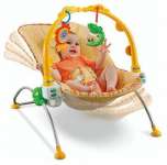 Fisher Price Rocking Baby Bouncer
