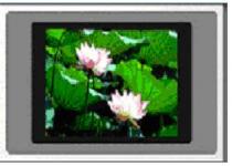 7"/11.3"/12"/14"/15" Multimedia AD TFT-LCD Monitors for Advertisement BTM-MAD700A/MAD113A/MAD120A/MAD140A/MAD150H