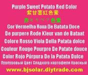 Purple Sweet Potato Red Color