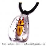 real insect amber necklace