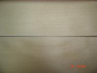 Sell Steamed Beech veneer