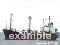 General Cargo Ship 4000-8000dwt - ship wanted
