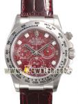 Quality fashion brand watches on www.outletwatch.com