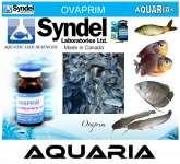 OVAPRIM produk SYNDEL &acirc;&cent; AQUATIC SCIENCE TECHNOLOGY from CANADA