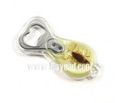 Supply Real Insect Amber Bottle Opener For Gift( crafts,  gifts,  souvenir ,  novelties,  gift promotion)