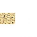 Pumpkin Seed Extract 10:1Â£Â¨rossonl@huacheng-biotech.comÂ£Â©