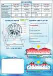 Spesifikasi Automatic Turbin Ventilator