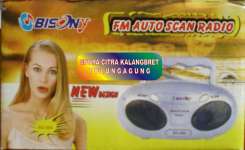 Radio ( anak-anak)