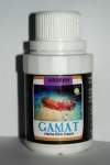 gamat herba efek cepat