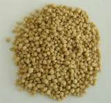 Textured Soy Protein(TSP)