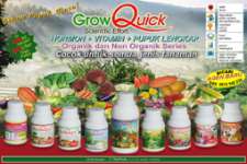 GROW QUICK R