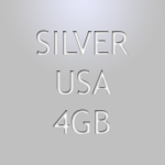 Silver USA 4GB