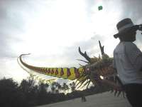 Dragon Train Kite 40cm