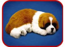 fur animal toy,  sleeping pets,  sleeping dog,  sleeping cat