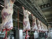 Cattle Slaughter Production Line