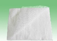 Absorbent dressing pad