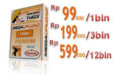 Account Megaupload premium original 3 Bulan Murah!