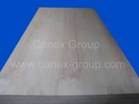 Sell Pine Plywood / CDX Plywood ( peggy@ waterproofplywood.com)