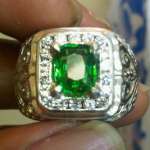 TSAVORITE GARNET ( GREEN GARNET)